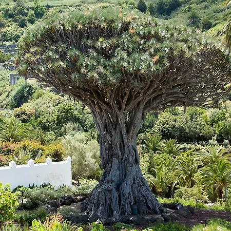 Casa Del Molino *